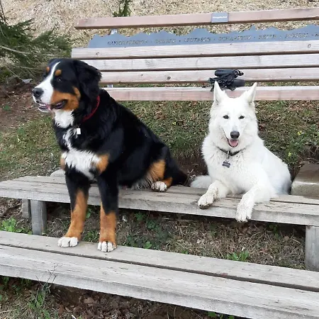 Haus Valle * 瑞斯·贝·泽费尔德