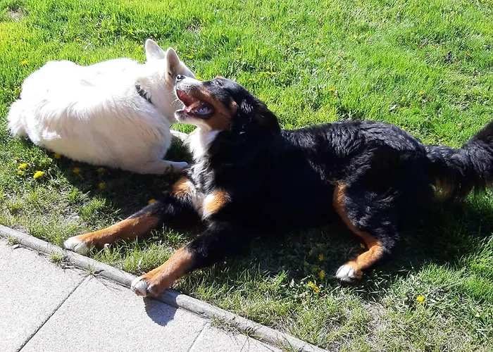 Haus Valle Reith bei Seefeld