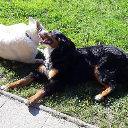 Haus Valle Reith bei Seefeld