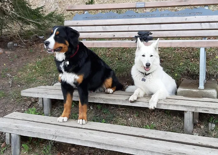 Haus Valle * Reith bei Seefeld